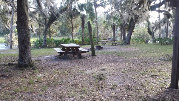 The Econlockhatchee River near Orlando Florida with Expedition Central & Dayo Scuba