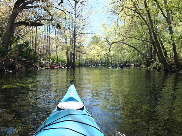 Expedition Central - Live Oak Florida - Suwannee River