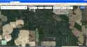 Dead River Sink - Jennings Bluff Tract - Expedtion Central - Live Oak, Florida