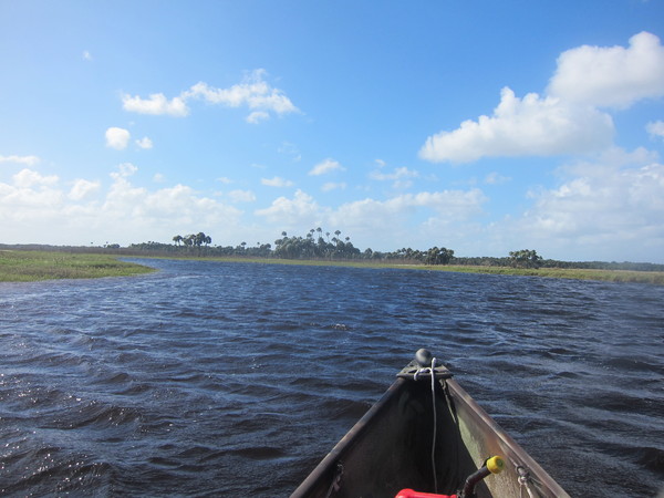 The Econlockhatchee River near Orlando Florida with Expedition Central & Dayo Scuba