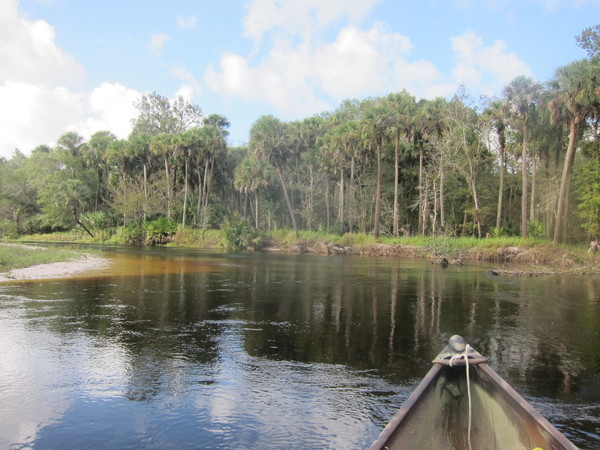 The Econlockhatchee River near Orlando Florida with Expedition Central & Dayo Scuba