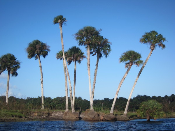 The Econlockhatchee River near Orlando Florida with Expedition Central & Dayo Scuba